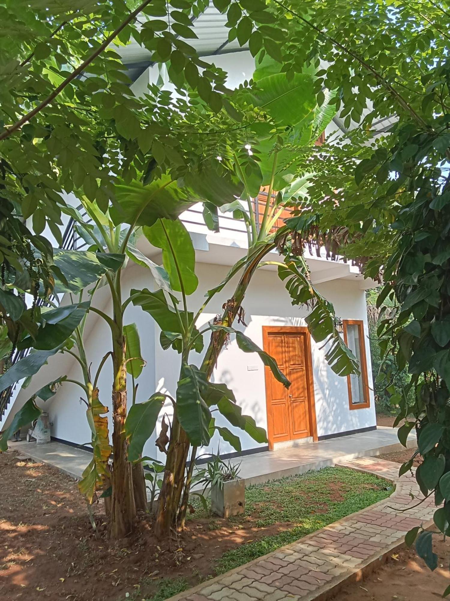 Green View Safari Resort Udawalawe Kültér fotó